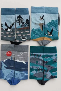 Box Of 4 Men's Postcard Socks