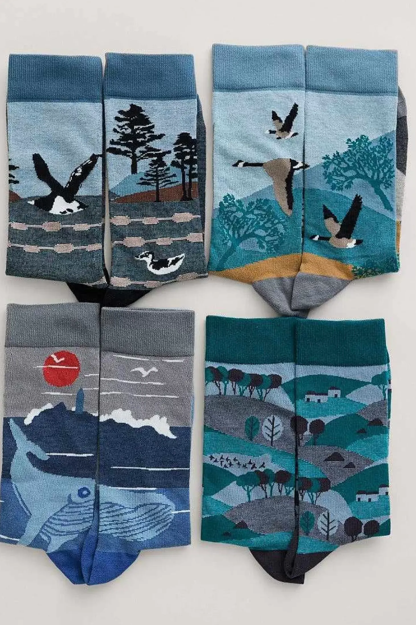 Box Of 4 Men's Postcard Socks