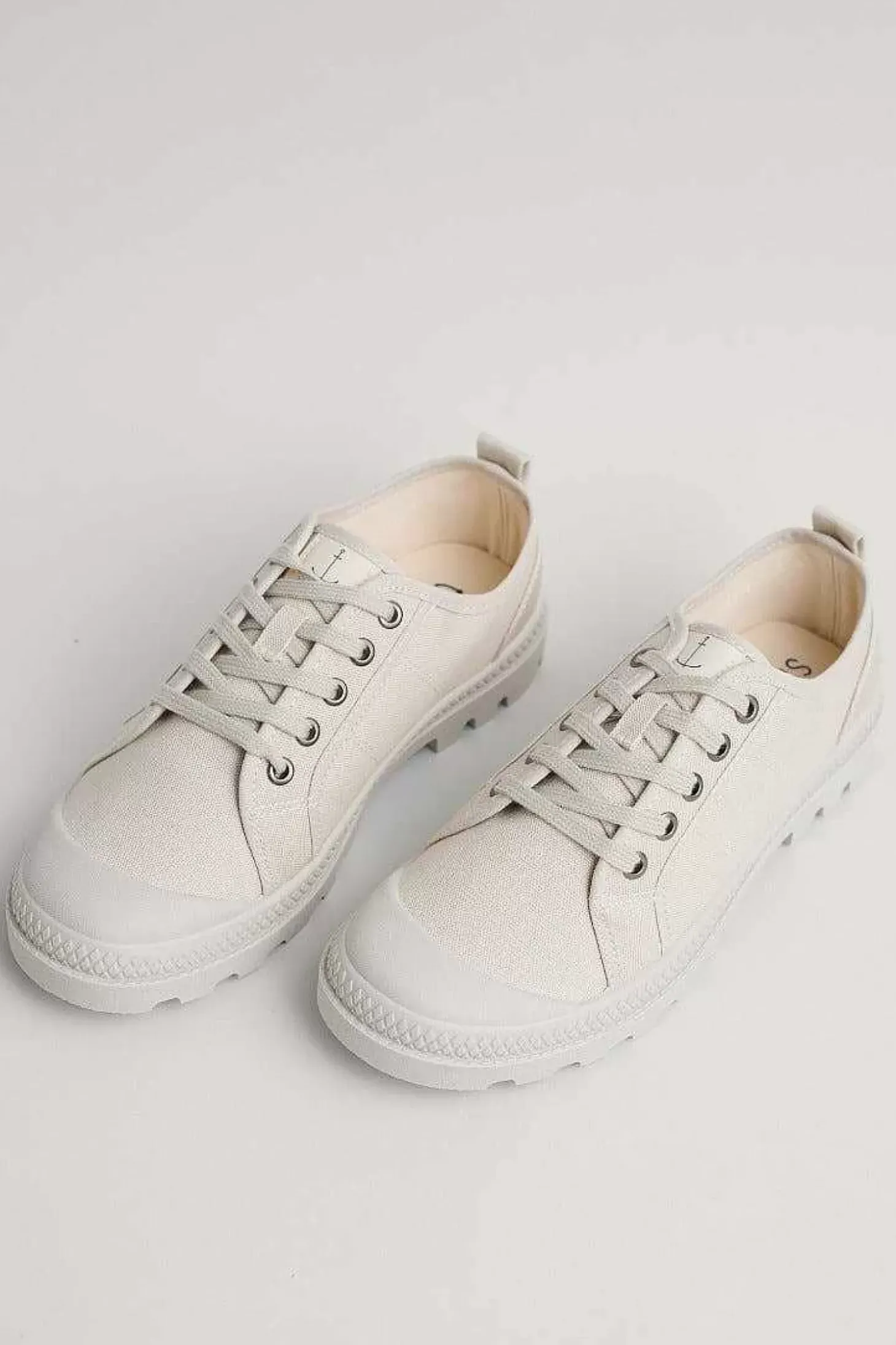 Meadowlark Trainers